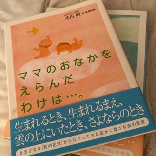 ママのおなかをえらんできたよ。ママのおなかをえらんだわけは。(結婚/出産/子育て)