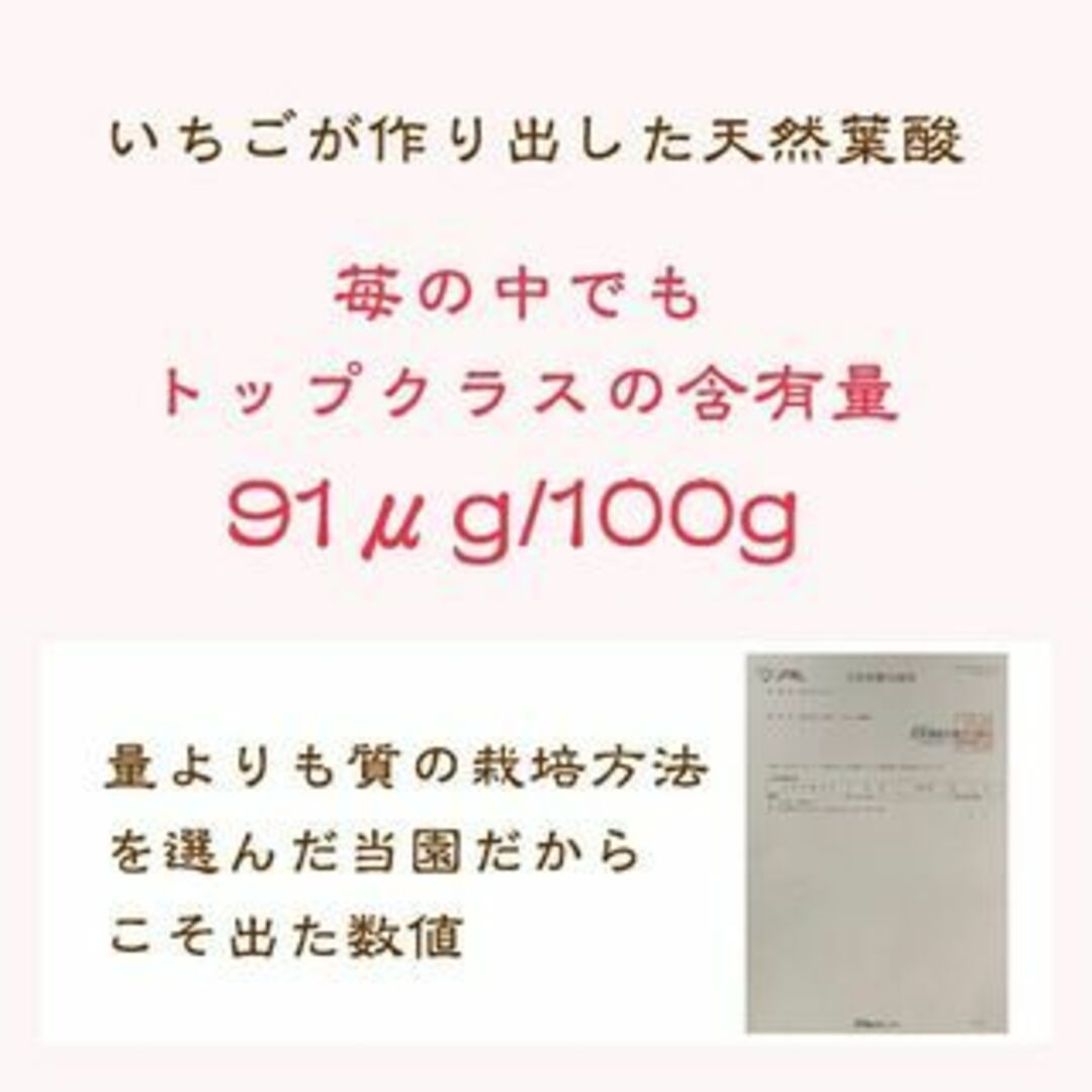 国産無添加冷凍いちご越後姫約1000g入り 食品/飲料/酒の食品(フルーツ)の商品写真