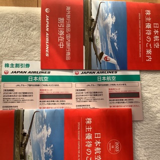 JAL  日本航空　株主優待券　2枚　➕　海外/国内旅行商品割引券付(航空券)
