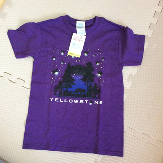 YELLOW STONE Tシャツ(Tシャツ/カットソー)
