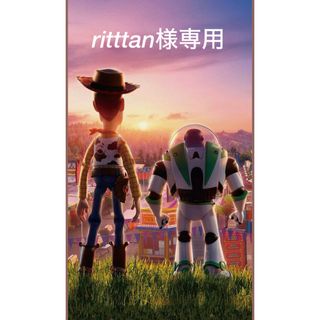 アンパンマン(アンパンマン)のritttan様専用　オーダーページ(外出用品)