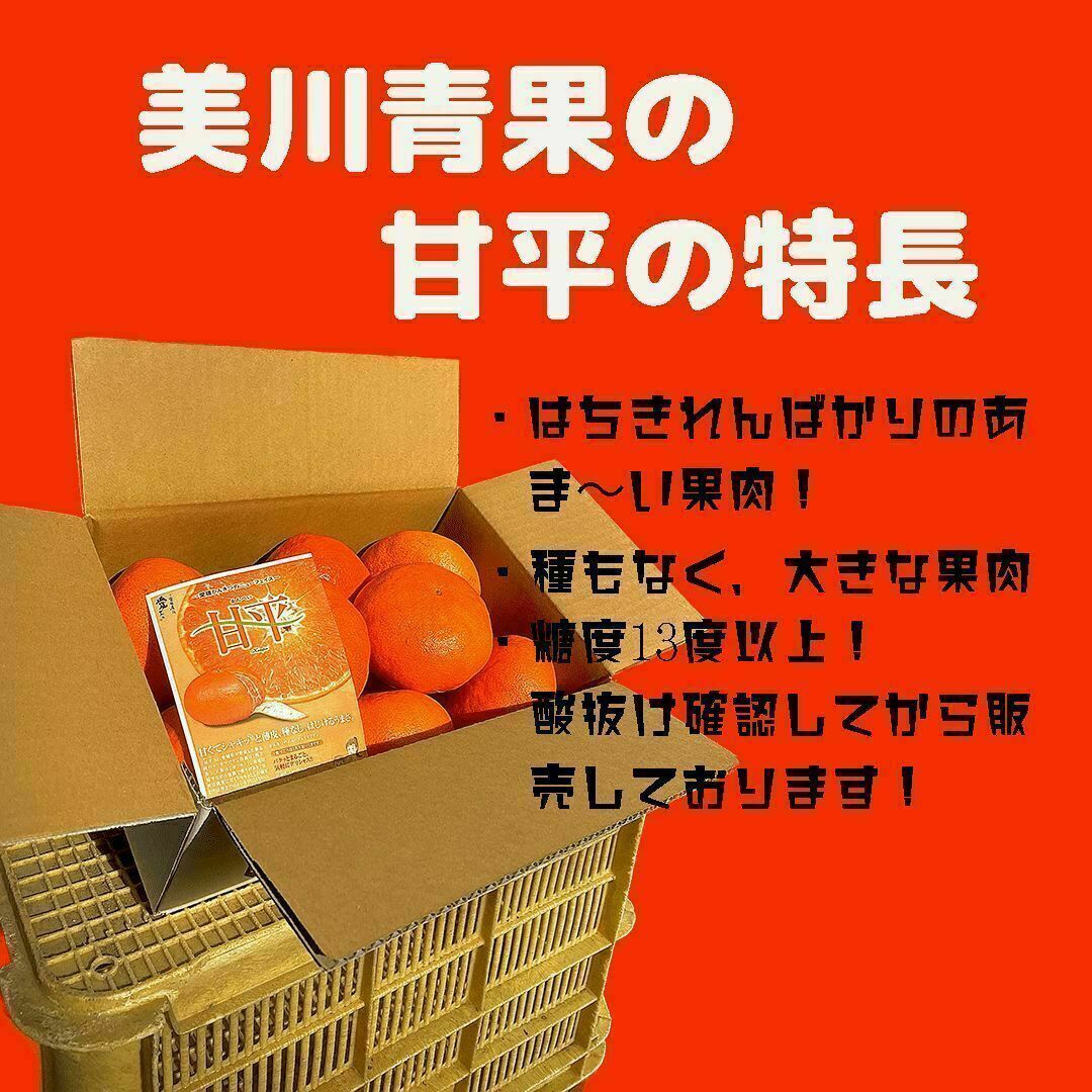 高級柑橘をお手頃に提供！【甘平🍊 大玉】　3Kg 食品/飲料/酒の食品(フルーツ)の商品写真