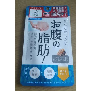 なんとかしたい お腹の脂肪 28粒(その他)