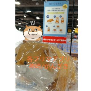 【非売品】可愛い嘘のカワウソぬいぐるみくじ特等/特賞(キャラクターグッズ)