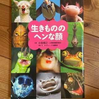 生きもののヘンな顔(人文/社会)