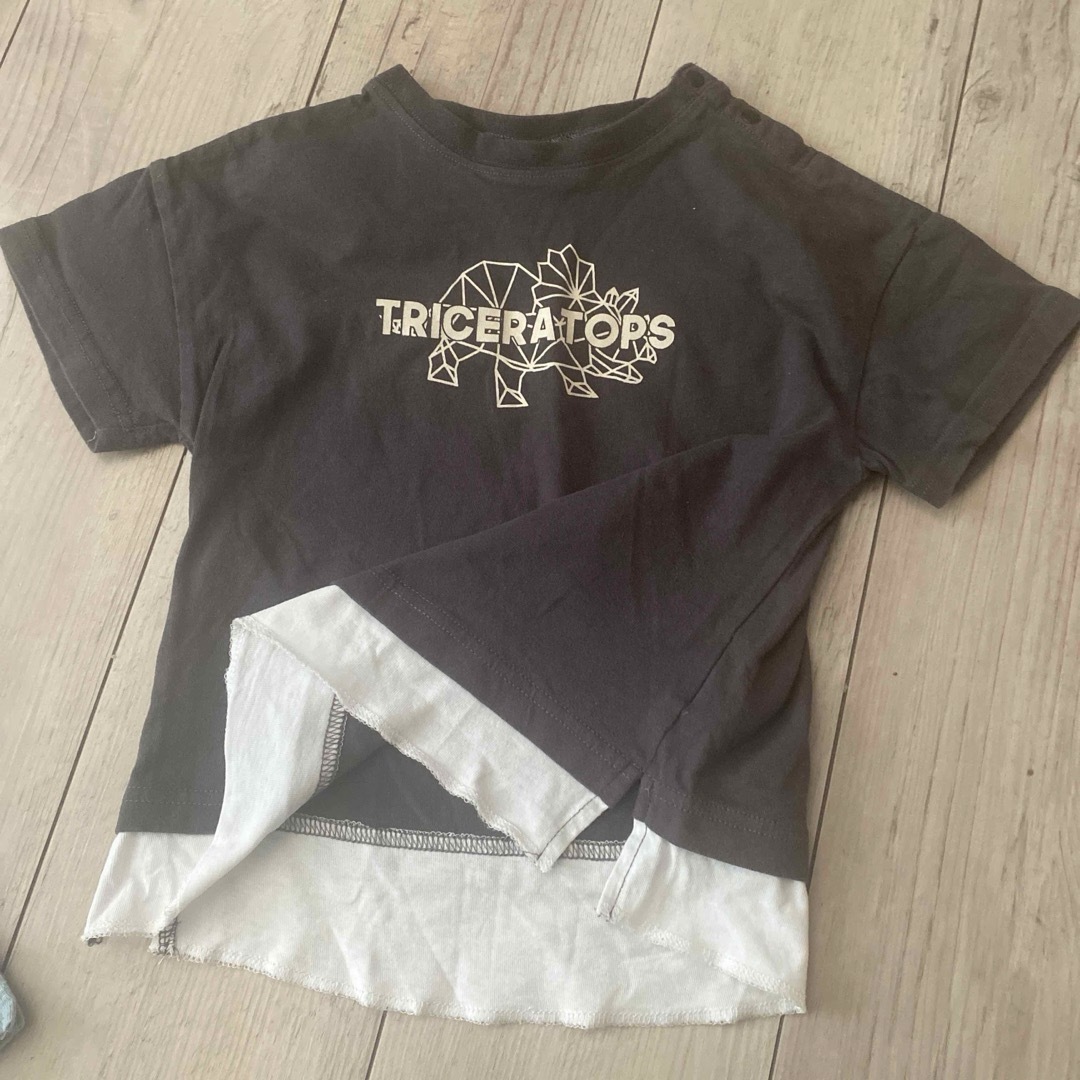 USAコットン、恐竜Tシャツ2枚セット キッズ/ベビー/マタニティのキッズ服男の子用(90cm~)(Tシャツ/カットソー)の商品写真