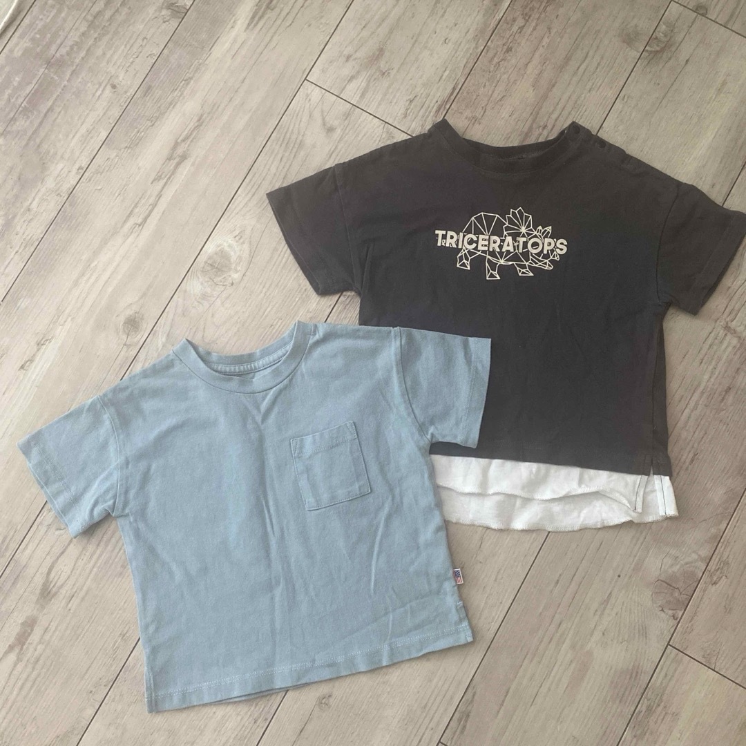 USAコットン、恐竜Tシャツ2枚セット キッズ/ベビー/マタニティのキッズ服男の子用(90cm~)(Tシャツ/カットソー)の商品写真