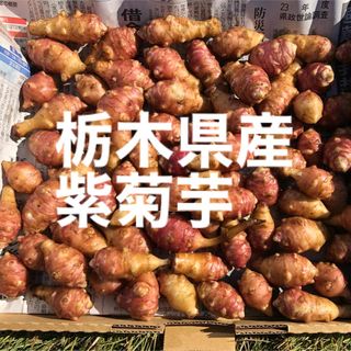 紫菊芋　無農薬(野菜)