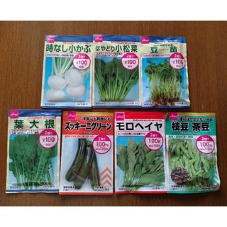 ダイソー(DAISO)のDAISOの種　７種(その他)