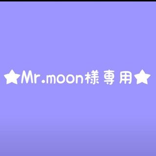 矢沢永吉ステッカー★Mr.moon様専用★(ミュージシャン)