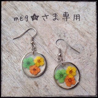 meg★さま専用ページ(ピアス)