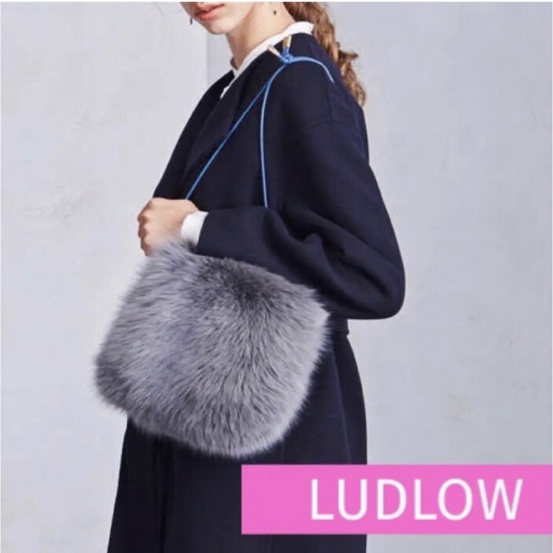 LUDLOW(ラドロー)のludlow ラドロー　フォックスファーバッグ レディースのバッグ(ハンドバッグ)の商品写真