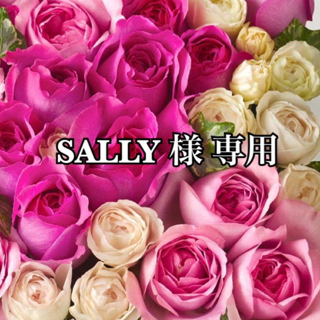 SALLY 様 専用ページ レディースのアクセサリー(リング(指輪))の商品写真