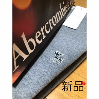 アバクロンビーアンドフィッチ(Abercrombie&Fitch)の新品 アバクロンビー&フィッチ メンズ スウェット XXL【ラスト1点】(スウェット)