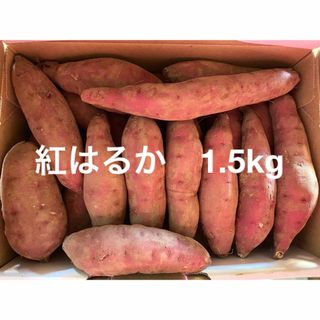 紅はるか　1.5kg さつまいも　小さいサイズ(野菜)