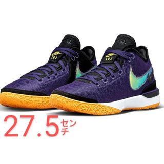 ナイキ(NIKE)のZOOM LEBRON NXXT gen EP 27.5cm(バスケットボール)