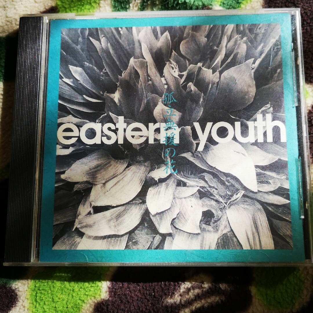 イースタンユース/孤立無援の花 eastern youth エンタメ/ホビーのCD(ポップス/ロック(邦楽))の商品写真