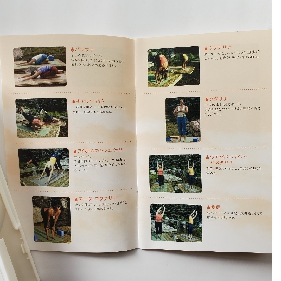 パワー・ヨガ〜初級編〜 DVD エンタメ/ホビーのDVD/ブルーレイ(スポーツ/フィットネス)の商品写真