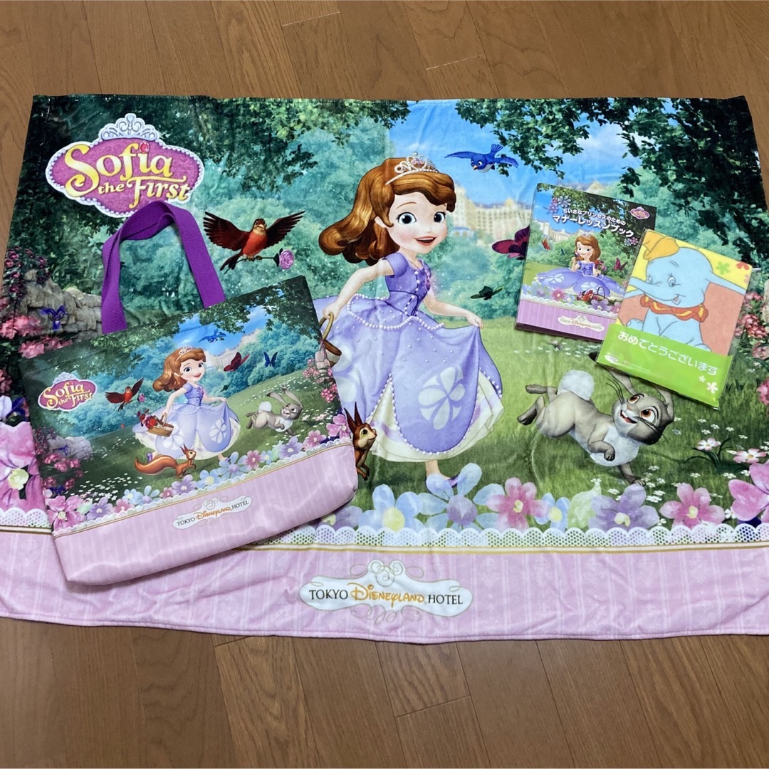 Disney(ディズニー)のちいさなプリンセスソフィア　レッスンバッグ　 キッズ/ベビー/マタニティのこども用バッグ(レッスンバッグ)の商品写真