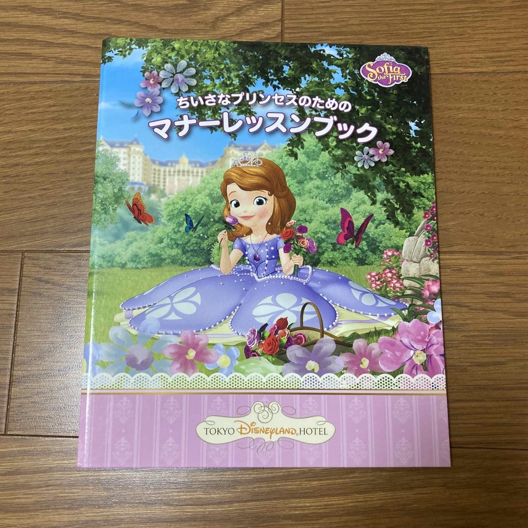 Disney(ディズニー)のちいさなプリンセスソフィア　レッスンバッグ　 キッズ/ベビー/マタニティのこども用バッグ(レッスンバッグ)の商品写真