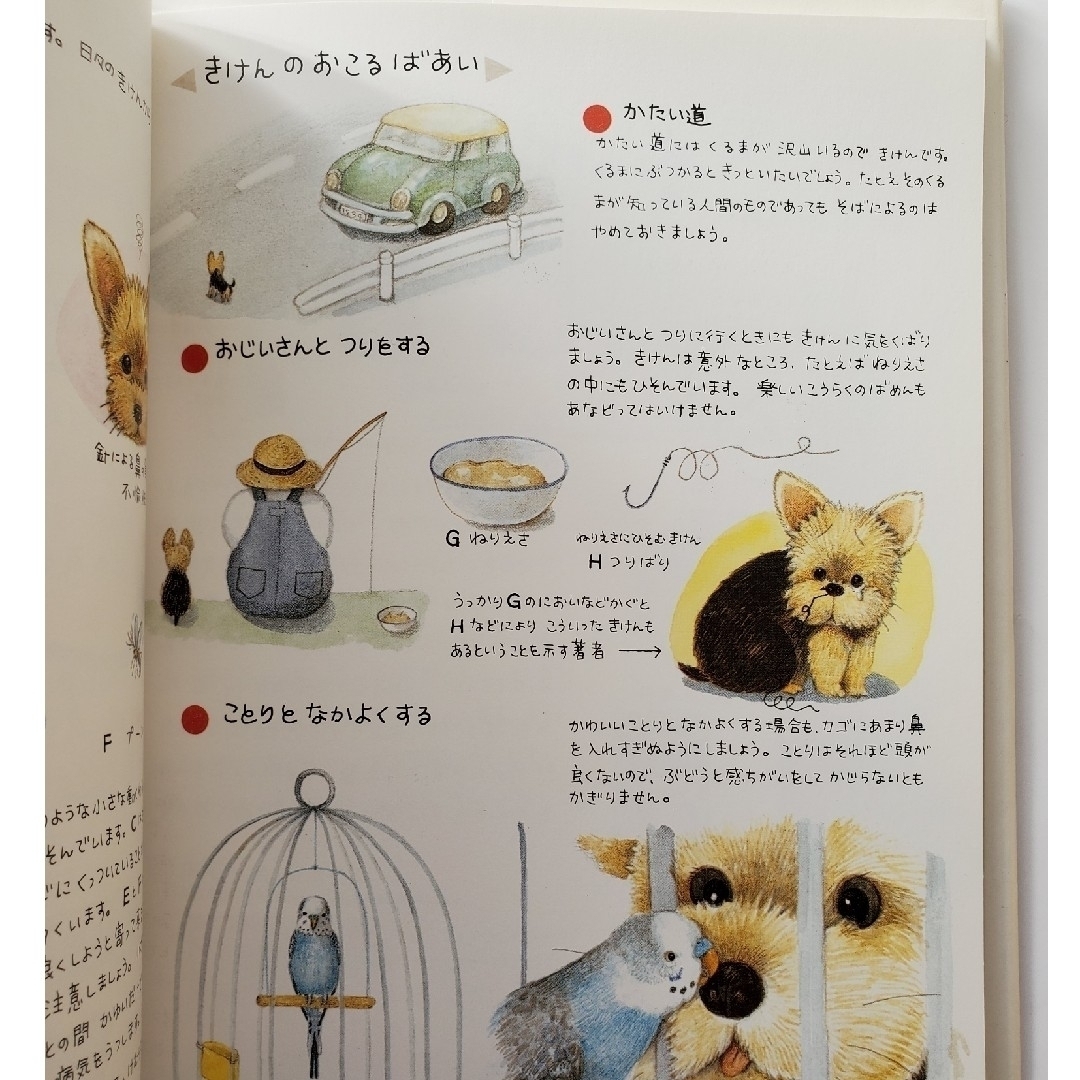 犬の生活 エンタメ/ホビーの本(絵本/児童書)の商品写真