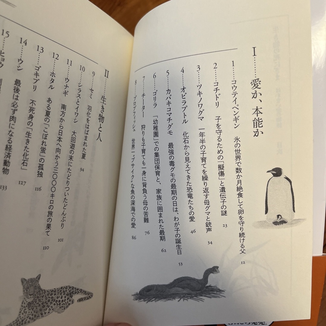 生き物の死にざま　はかない命の物語　中学受験　理科 エンタメ/ホビーの本(人文/社会)の商品写真