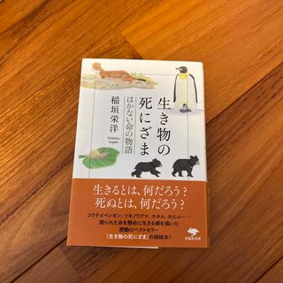 生き物の死にざま　はかない命の物語　中学受験　理科(人文/社会)