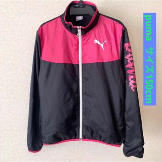 プーマ(PUMA)のプーマ 裏トリコット ウインドブレーカー 150cm ブラック×ピンク スポーツ(ジャケット/上着)