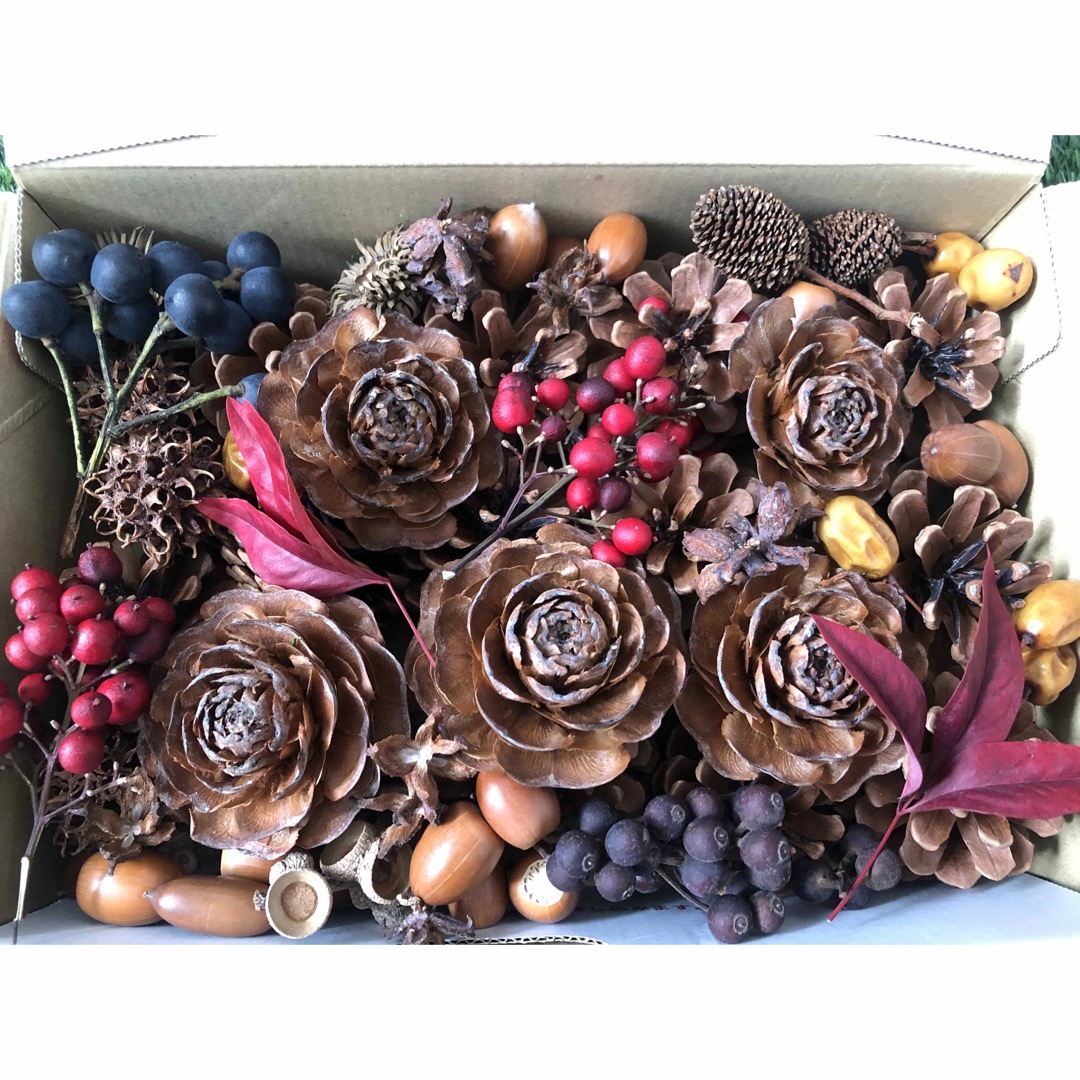 綺麗な茶褐色の松ぼっくりと　木の実 ハンドメイドの素材/材料(各種パーツ)の商品写真