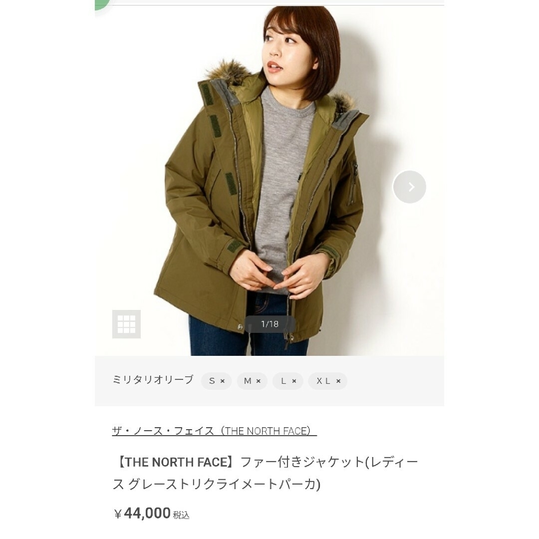 THE NORTH FACE(ザノースフェイス)のノースフェイス グレーストリクライメートパーカ レディース Lサイズ 希少 レア レディースのジャケット/アウター(ダウンジャケット)の商品写真