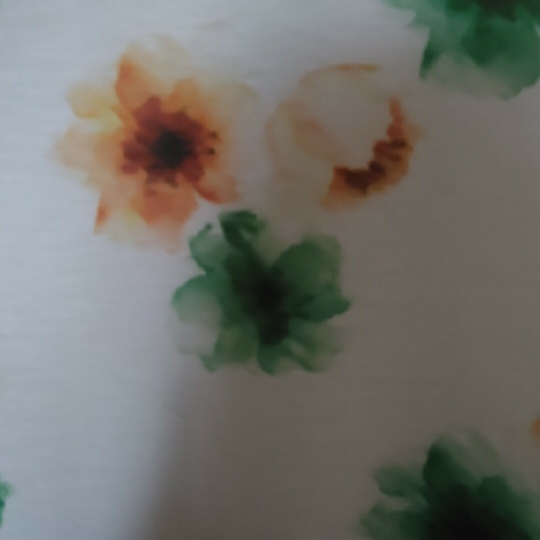 AEON(イオン)のレディースTシャツ レディースのトップス(Tシャツ(半袖/袖なし))の商品写真