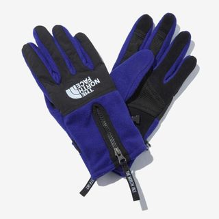 ザノースフェイス(THE NORTH FACE)の(海外モデル）ノースフェイス 手袋 DENAKI ETIP GLOVE Mサイズ(手袋)