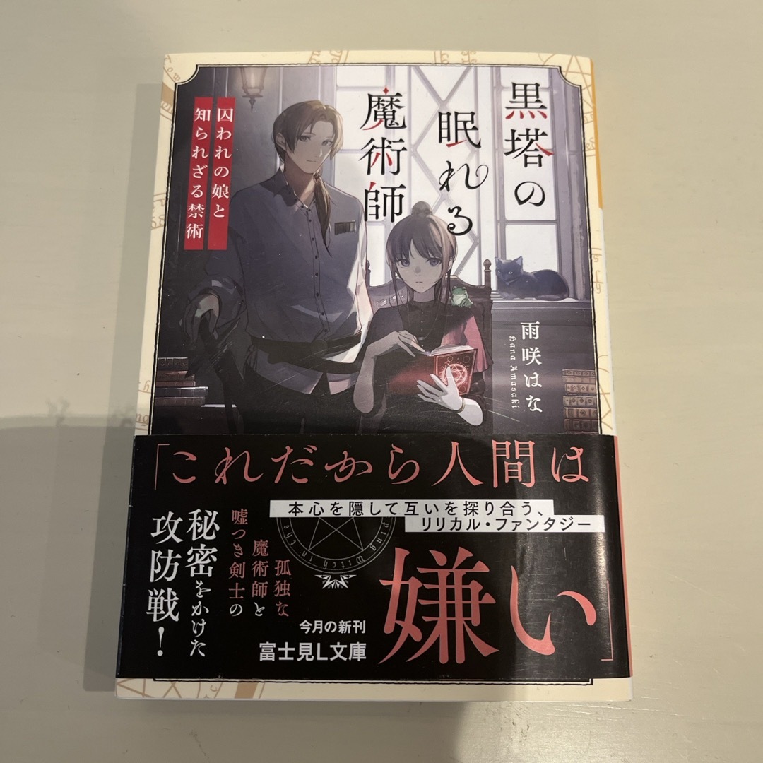 黒塔の眠れる魔術師 エンタメ/ホビーの本(文学/小説)の商品写真