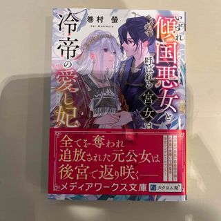 いずれ傾国悪女と呼ばれる宮女は、冷帝の愛し妃(文学/小説)