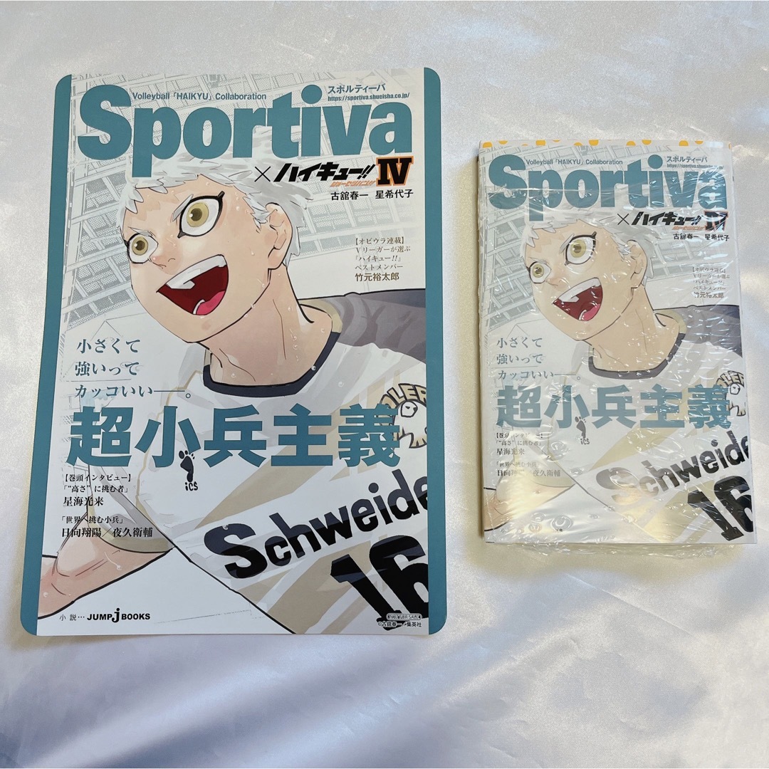 集英社 - ハイキュー!! ショーセツバン!! 4巻 Sportiva 集英社 - ハイキュー!! ショーセツバン!! 4巻 Sportiva