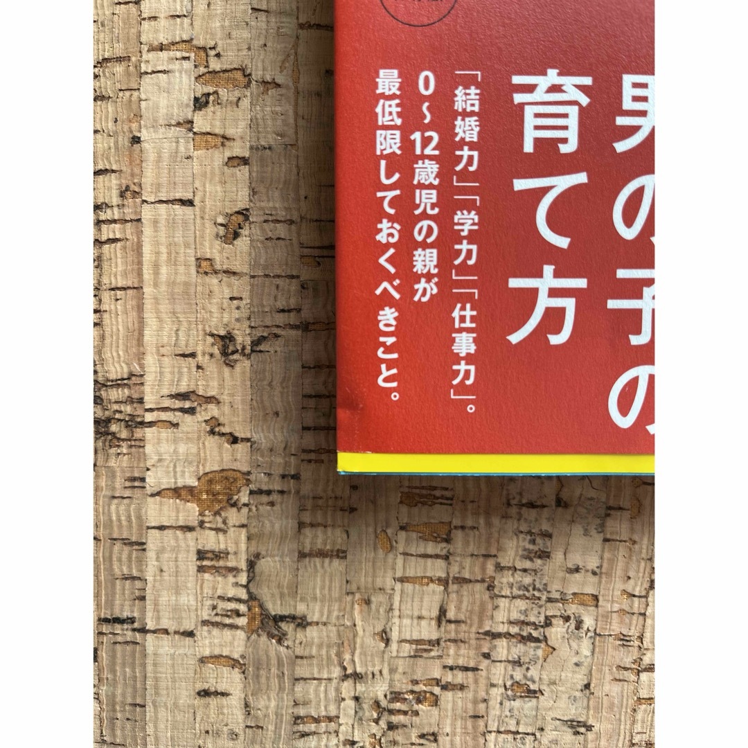 【一読のみ】男の子の育て方 諸富祥彦 エンタメ/ホビーの本(住まい/暮らし/子育て)の商品写真