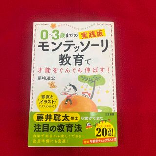 ０～３歳までの実践版モンテッソーリ教育で才能をぐんぐん伸ばす！(人文/社会)