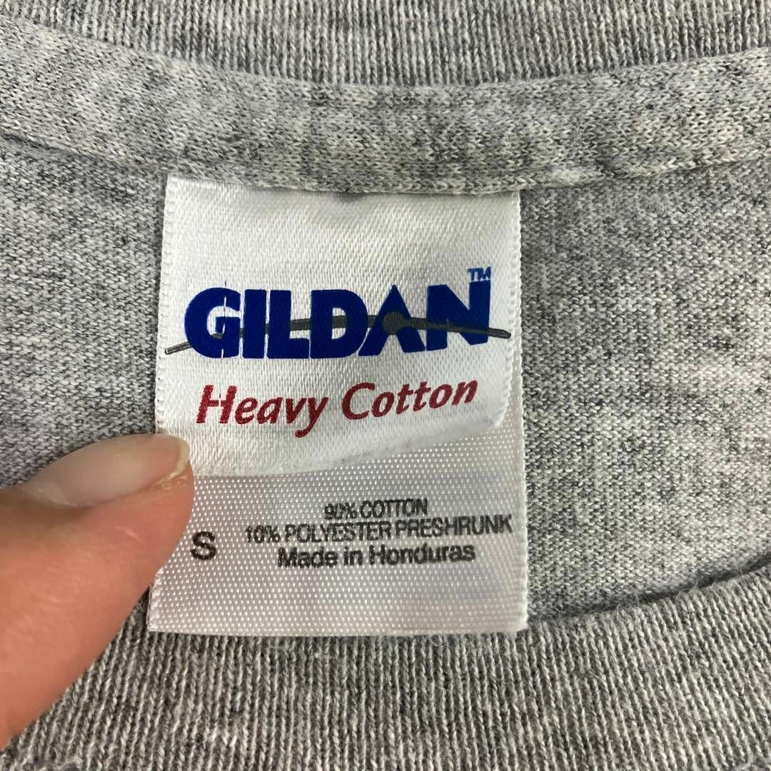 ギルダン　POLAR PLUNGE グレー　Tシャツ　古着　S メンズのトップス(Tシャツ/カットソー(半袖/袖なし))の商品写真
