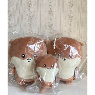 ナガノのカワウソ ぬいぐるみくじ C賞 D賞(ぬいぐるみ)