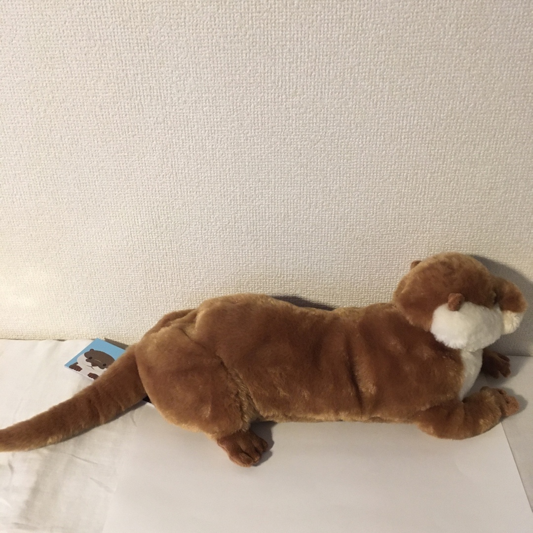 サンレモン ひざかわうそBE P-7062 エンタメ/ホビーのおもちゃ/ぬいぐるみ(ぬいぐるみ)の商品写真