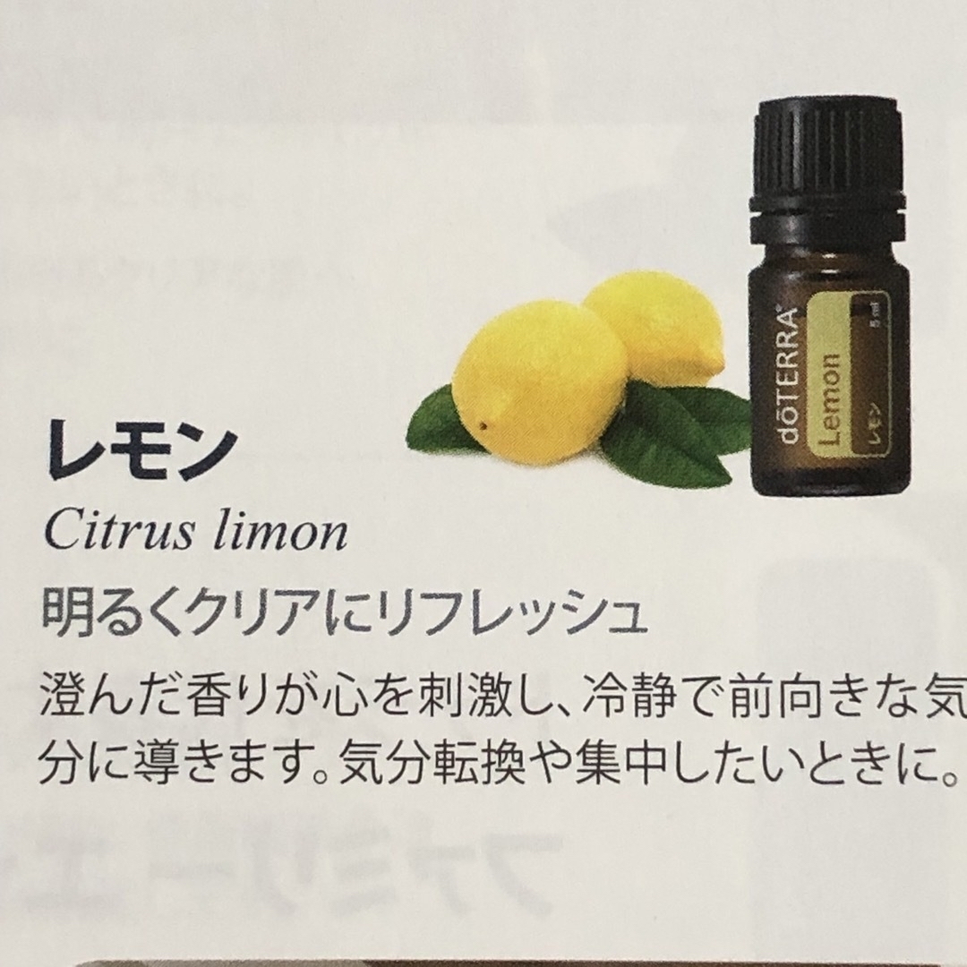 doTERRA(ドテラ)の３品でのお値段ドテラ　ラベンダー　レモン ペパーミント　各1ml800円 コスメ/美容のリラクゼーション(エッセンシャルオイル（精油）)の商品写真