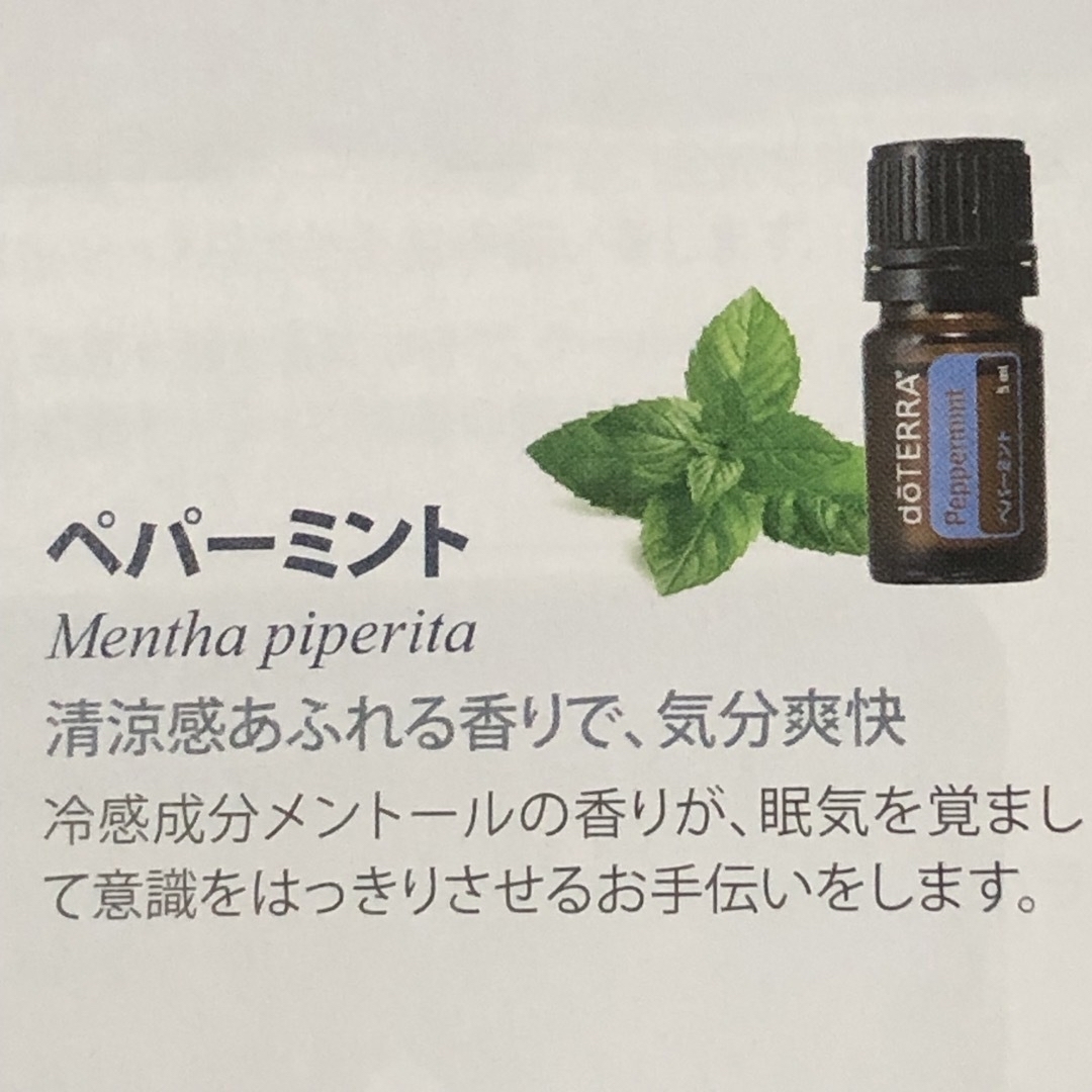 doTERRA(ドテラ)の３品でのお値段ドテラ　ラベンダー　レモン ペパーミント　各1ml800円 コスメ/美容のリラクゼーション(エッセンシャルオイル（精油）)の商品写真