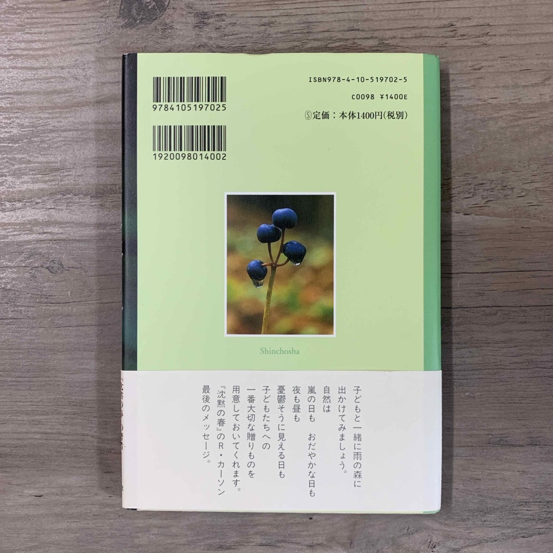 センス・オブ・ワンダ－ エンタメ/ホビーの本(その他)の商品写真