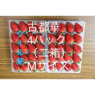 古都華　いちご　M〜　小さめ　農家直　苺　イチゴ　ことか　奈良県産 農園直送(フルーツ)