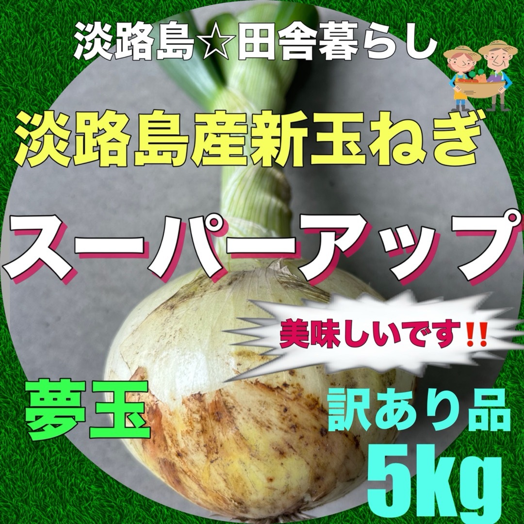 淡路島産新玉ねぎ 茎付き ちょっと訳あり品5kg スーパーアップ 極早生 夢玉 食品/飲料/酒の食品(野菜)の商品写真