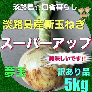 淡路島産新玉ねぎ 茎付き ちょっと訳あり品5kg スーパーアップ 極早生 夢玉(野菜)