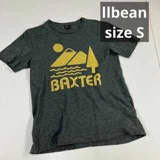 エルエルビーン(L.L.Bean)のllbean エルエルビーン　Tシャツ　染み込み　古着 グレー　S(Tシャツ/カットソー(半袖/袖なし))