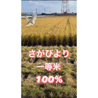 ⭐️新米 令和5年産1等米⭐️佐賀県産さがびより20k(米/穀物)