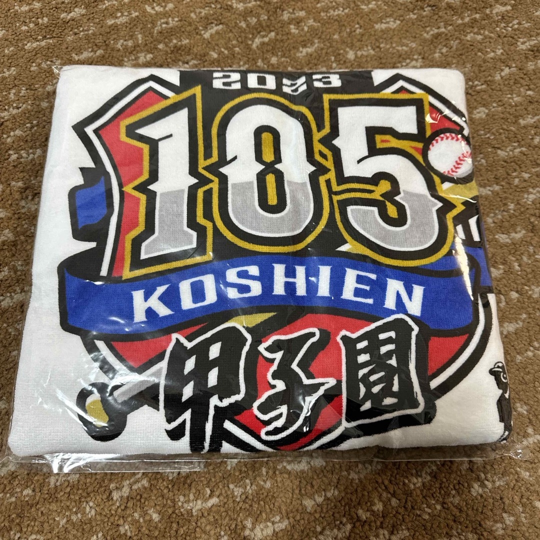 朝日新聞出版(アサヒシンブンシュッパン)の第105回　甲子園　全出場校名入りバスタオル スポーツ/アウトドアの野球(記念品/関連グッズ)の商品写真