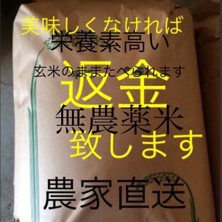 HM様専用　無農薬　純こしひかり10㎏ 精米(米/穀物)